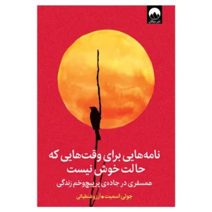 کتاب نامه هایی برای وقت هایی که حالت خوش نیست