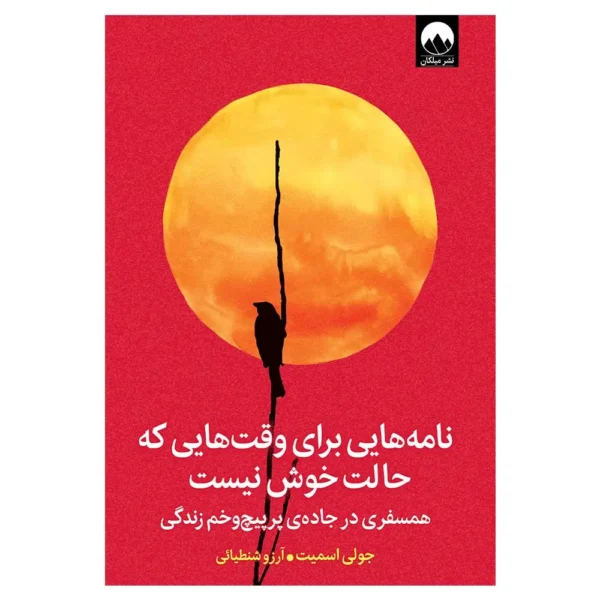 کتاب نامه هایی برای وقت هایی که حالت خوش نیست